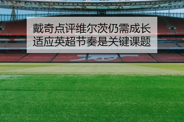 戴奇点评维尔茨仍需成长 适应英超节奏是关键课题